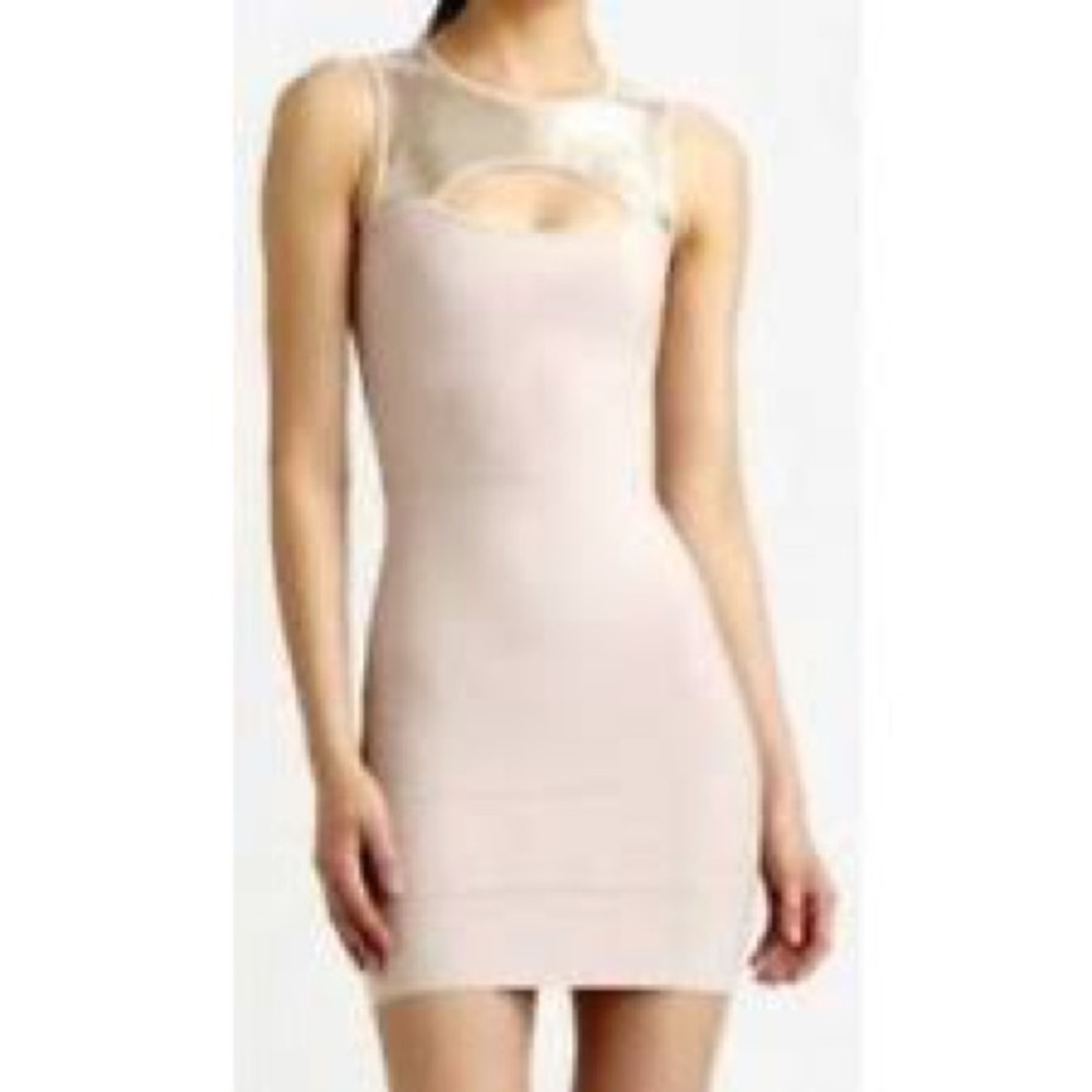 BCBG Max Azria Dress in Bare Pink